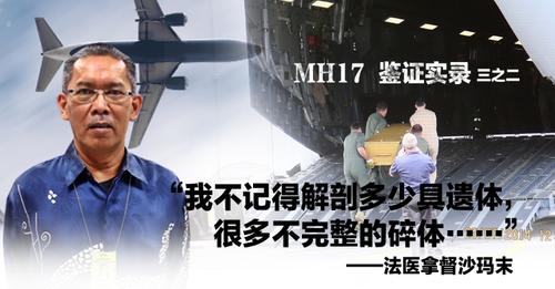 【MH17空难鉴证实录II】