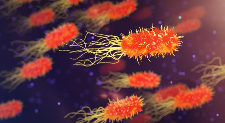 灭杀超级细菌，比利时测试噬菌体疗法