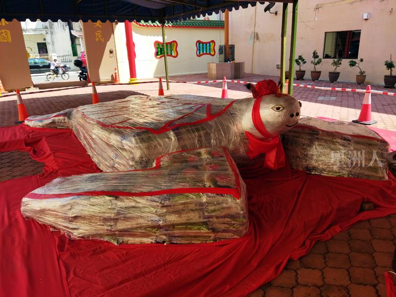 馬六甲保安宮乞龜風俗，由1800包白米疊成的龜