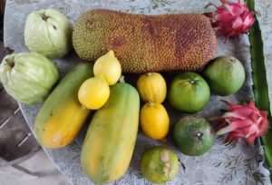 果园中刚采下的热带水果，果香弥漫。