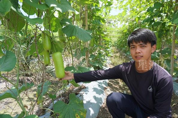 陈庭峰表示水浦有相当重量，如果遇上好价，农友的回酬就会增加许多。