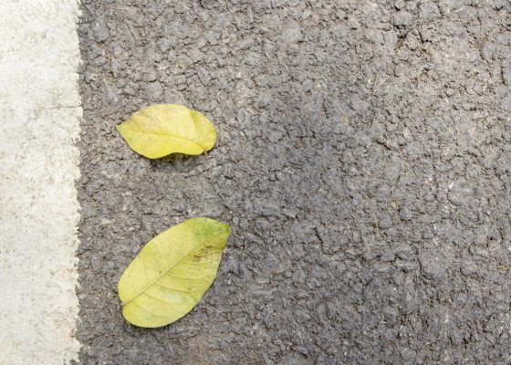 Close Up Dry Leaves On Cement Floor