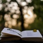 Poetry Book In Front Of Blurred Sunset Background