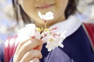 Elementary School Girls With Cherry Blossoms